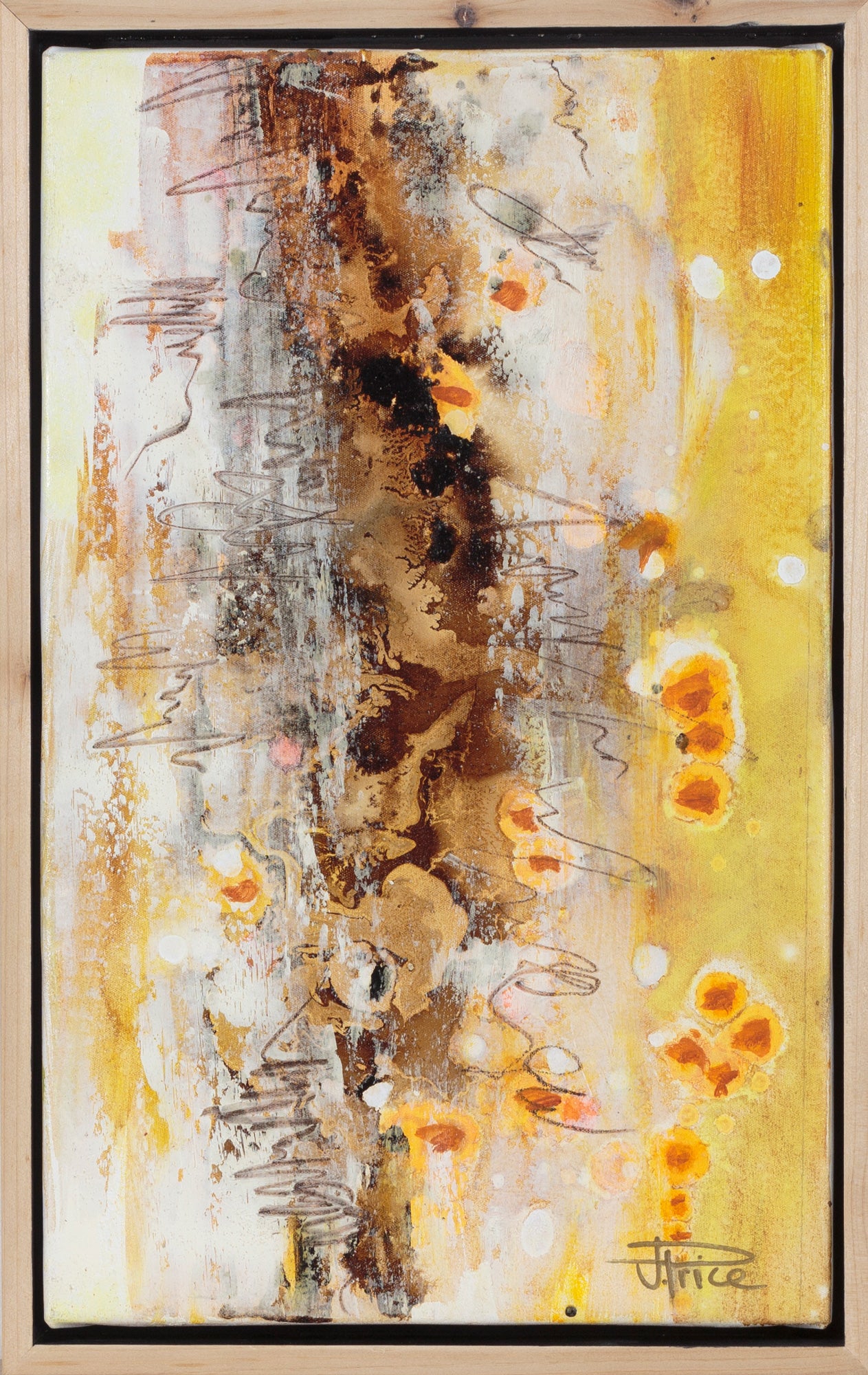 Scribbly Gums Yellow One